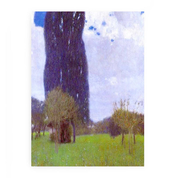 The Tall Poplar tree II