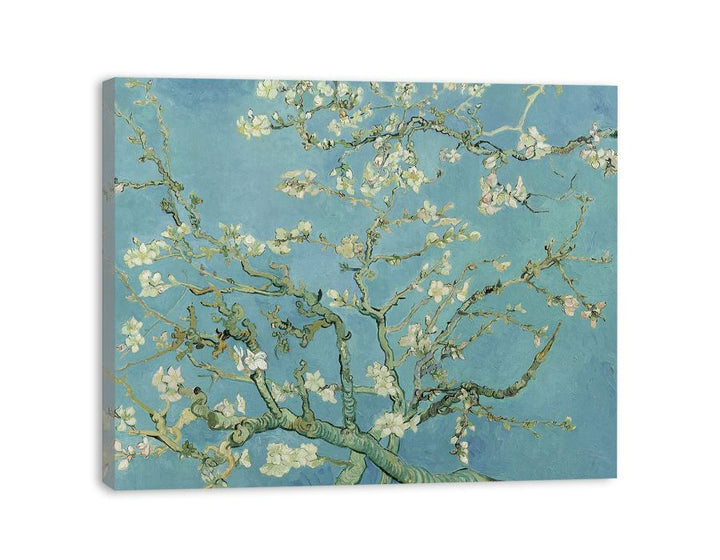 Blossoming Almond Tree Painting canvas Print