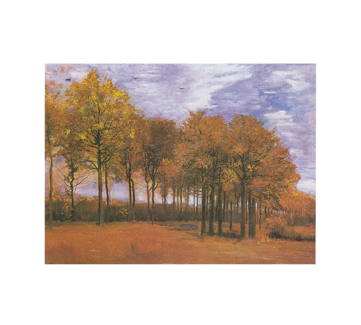 Autumn Landscape
