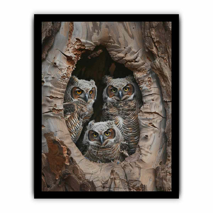 Baby Owls InThe Hollow Tree. framed Print