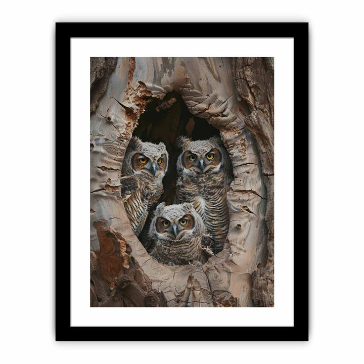 Baby Owls InThe Hollow Tree. framed Print