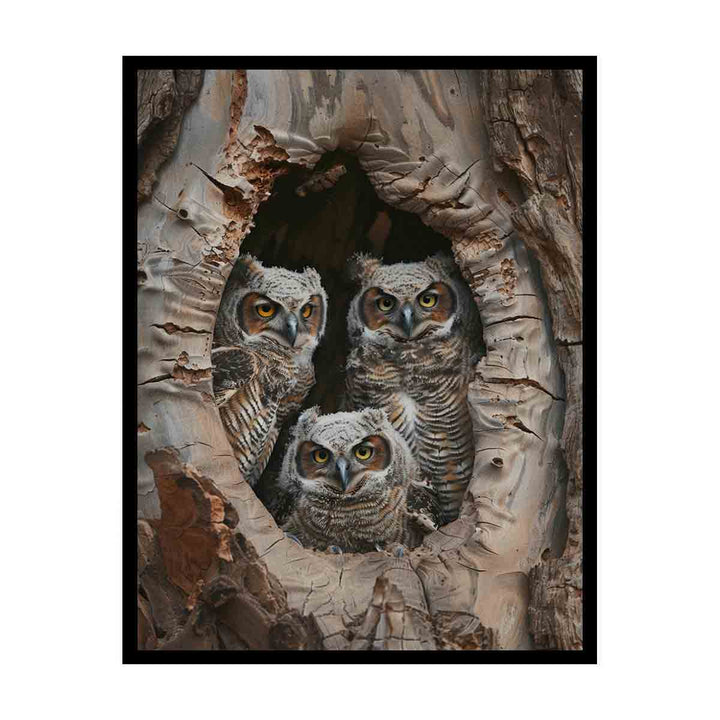 Baby Owls InThe Hollow Tree. canvas Print