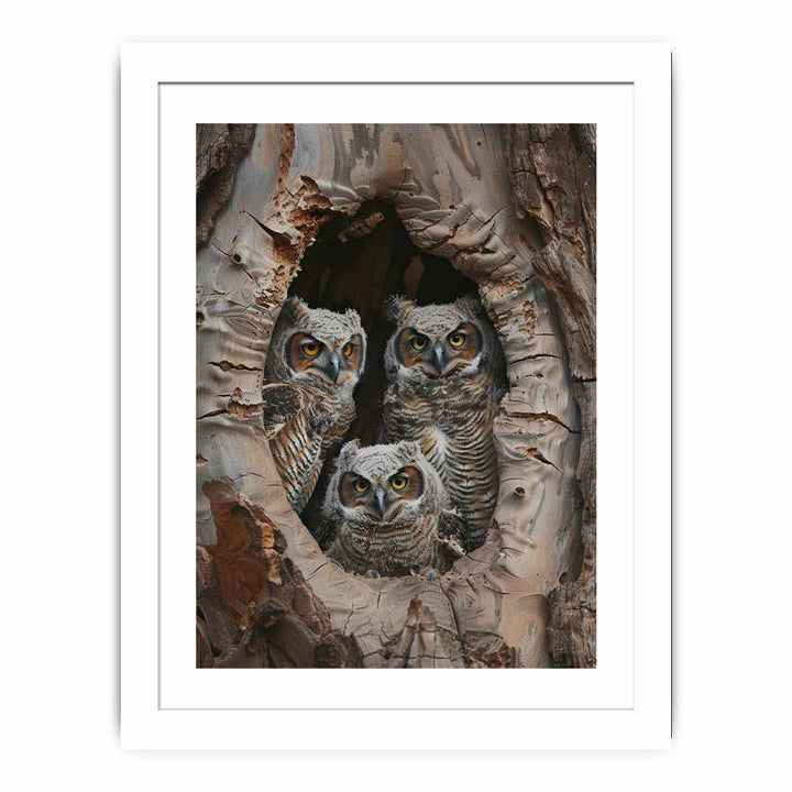 Baby Owls InThe Hollow Tree. framed Print