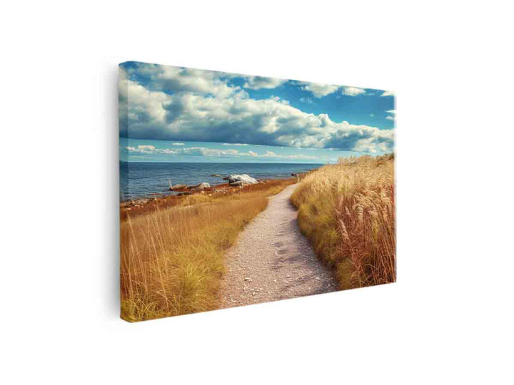 Beach Path  Print canvas Print