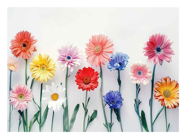 Watercolor Daisies Art Print