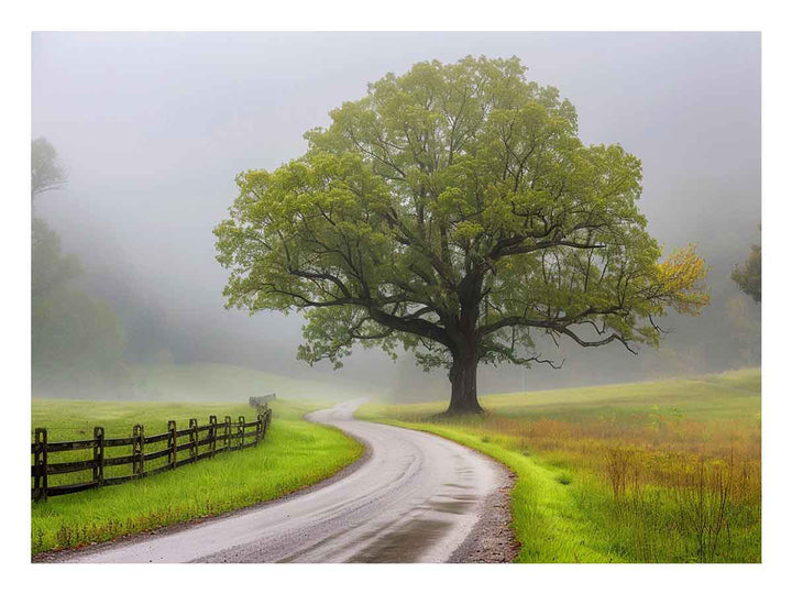 Foggy Road Art Print