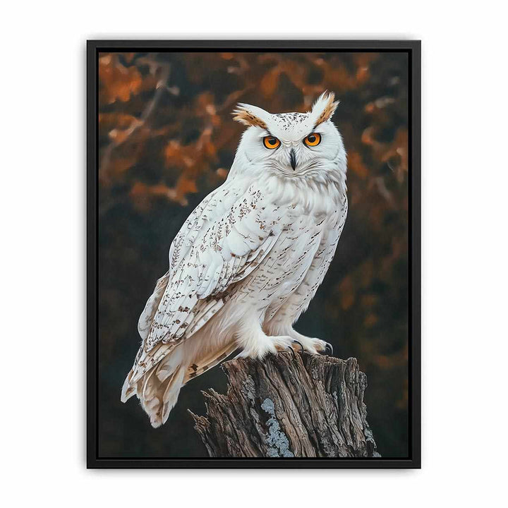 Sonwy Owl Canvas Painting 