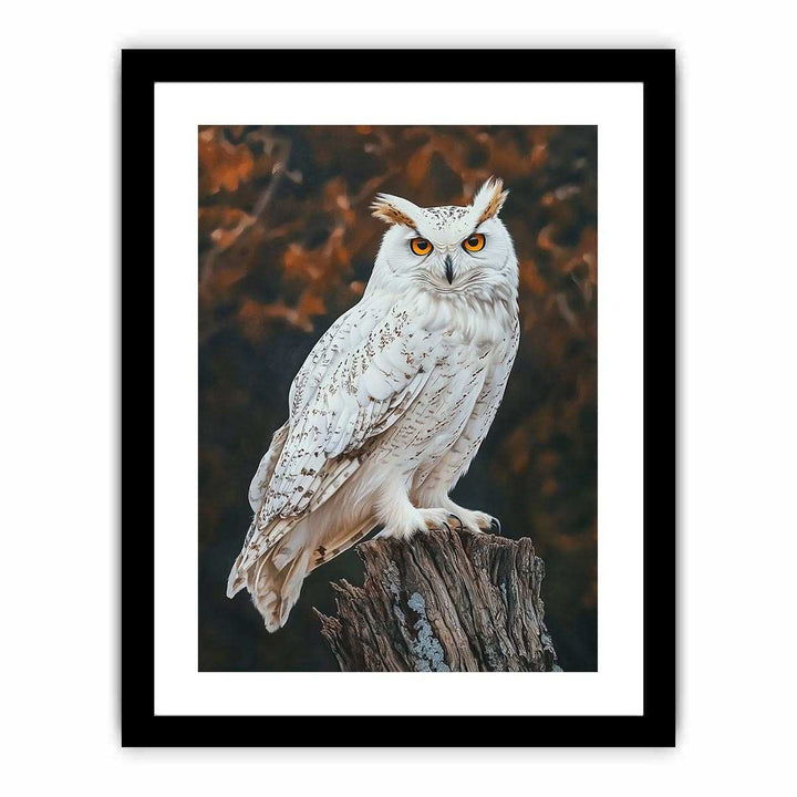 Sonwy Owl Canvas Painting 