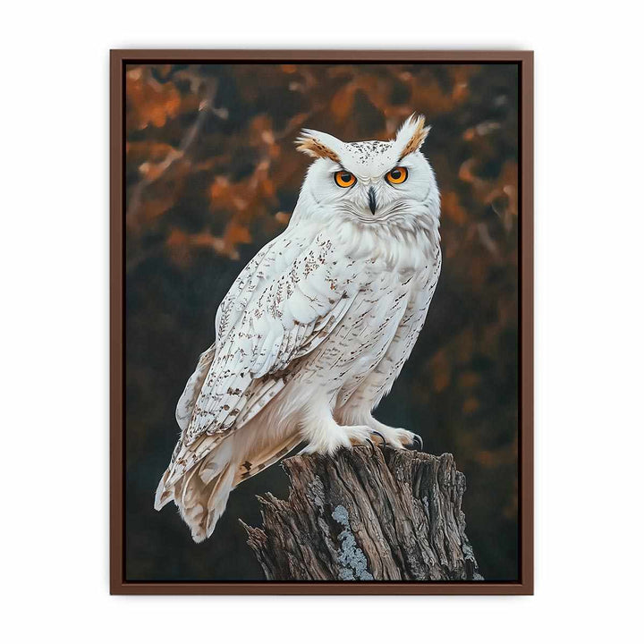 Sonwy Owl Canvas Painting 