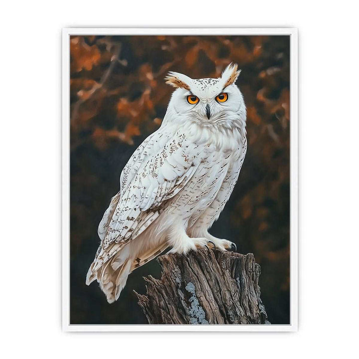 Sonwy Owl Canvas Painting 