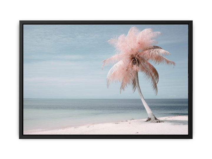 Silver Pink Beach Tree   canvas Print