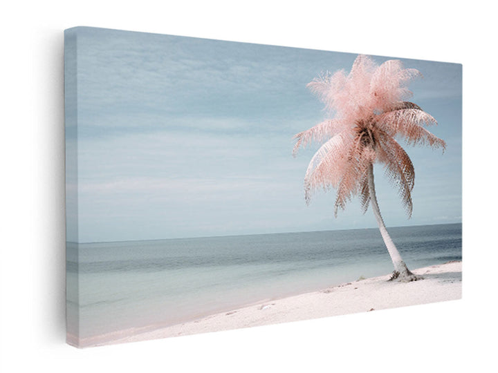 Silver Pink Beach Tree   canvas Print