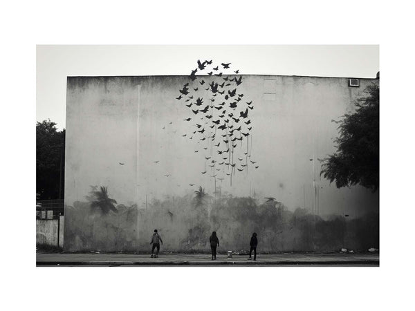 Graffiti Birds Flying Street Art 