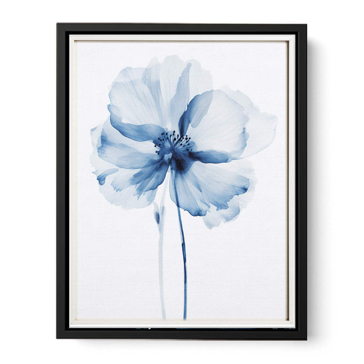 Blue Watercolor Flower Fine Art   canvas Print