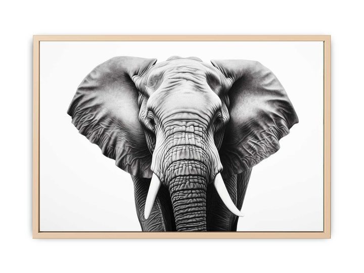 Elephant White And Black Art framed Print