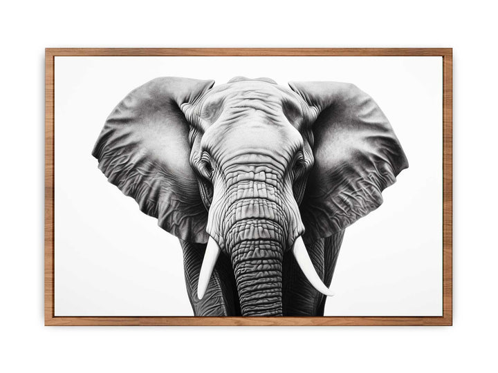 Elephant White And Black Art  Painting