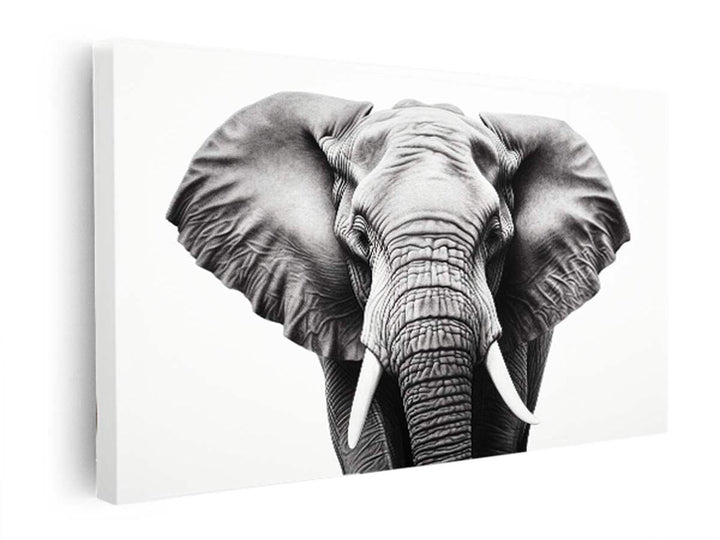 Elephant White And Black Art  canvas Print