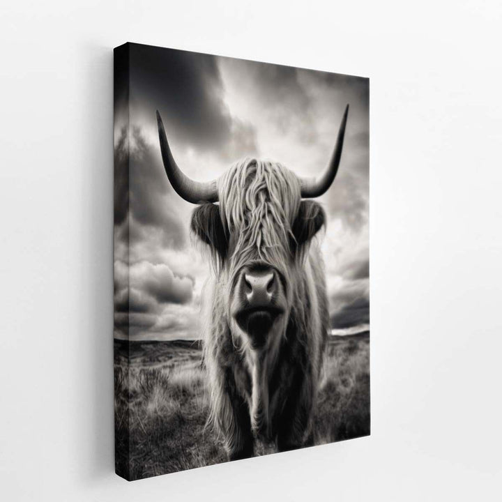 Highland  Cow Painting BW  canvas Print