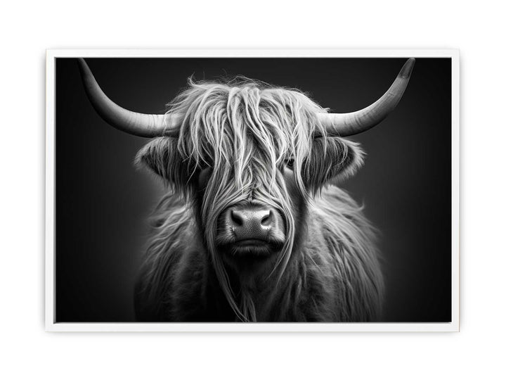 Black And White Highland Cow   Painting