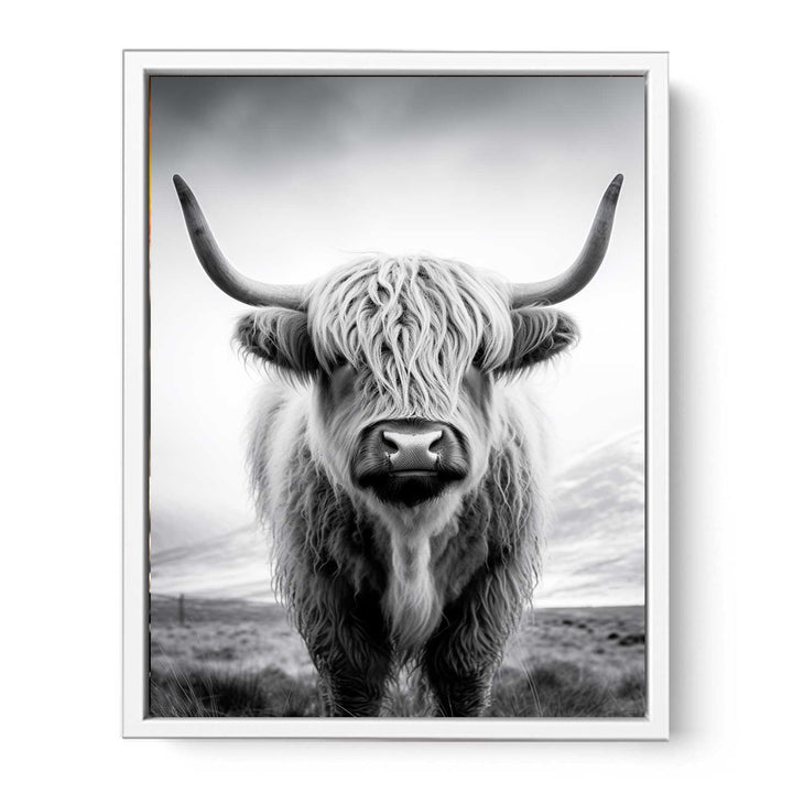 Highland Cow Painting  