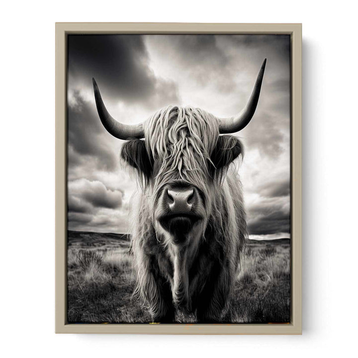 Highland  Cow Painting BW framed Print