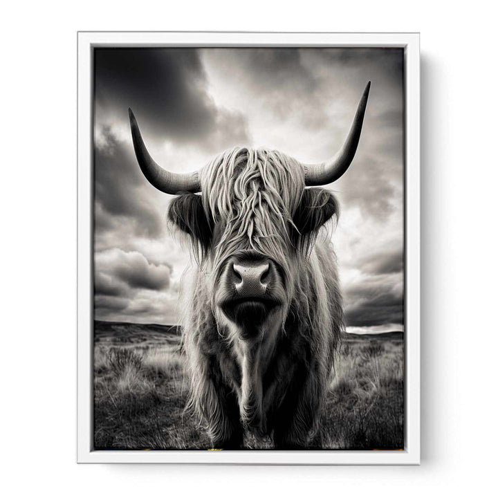 Highland  Cow Painting BW  