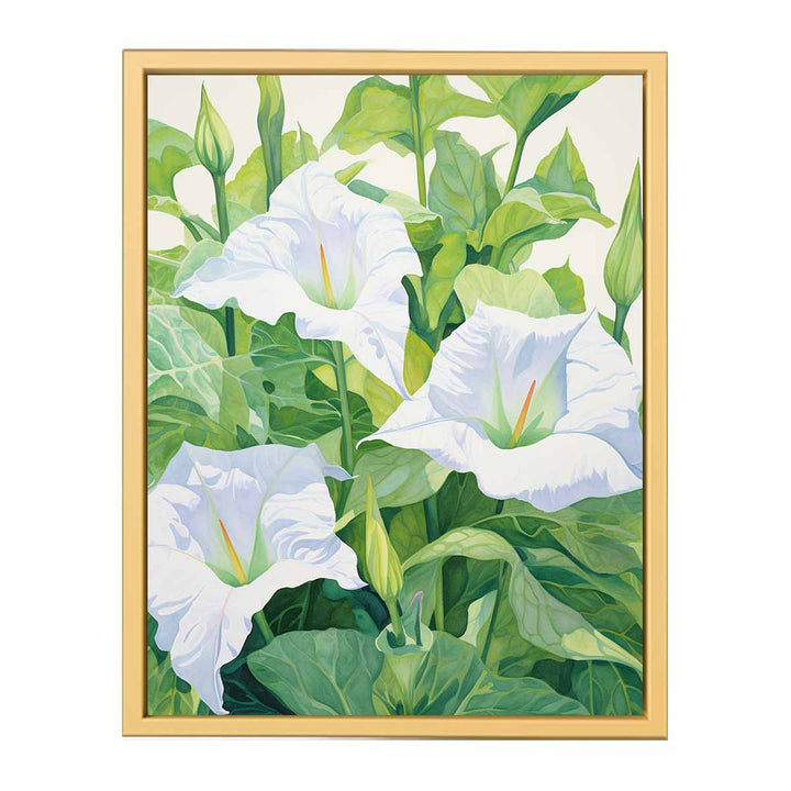 Jimson Weed Painting framed Print