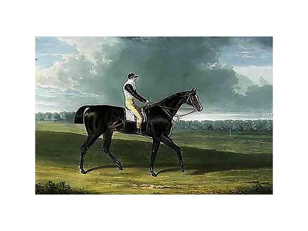 Filho da Puta', the Winner of the Great St. Leger at Doncaster, 1815
