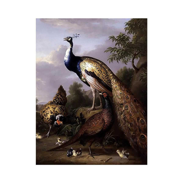 Peacock, Hen and Cock Pheasant in a Landscape
