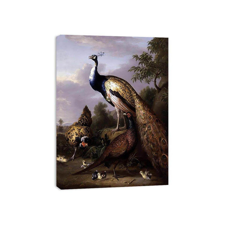 Peacock, Hen and Cock Pheasant in a Landscape Canvas Print