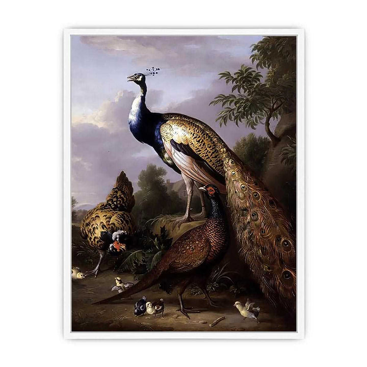 Peacock, Hen and Cock Pheasant in a Landscape Framed Print