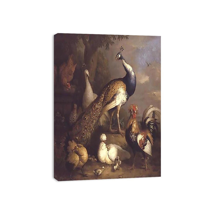 Peacock, Peahen and Poultry in a Landscape Canvas Print