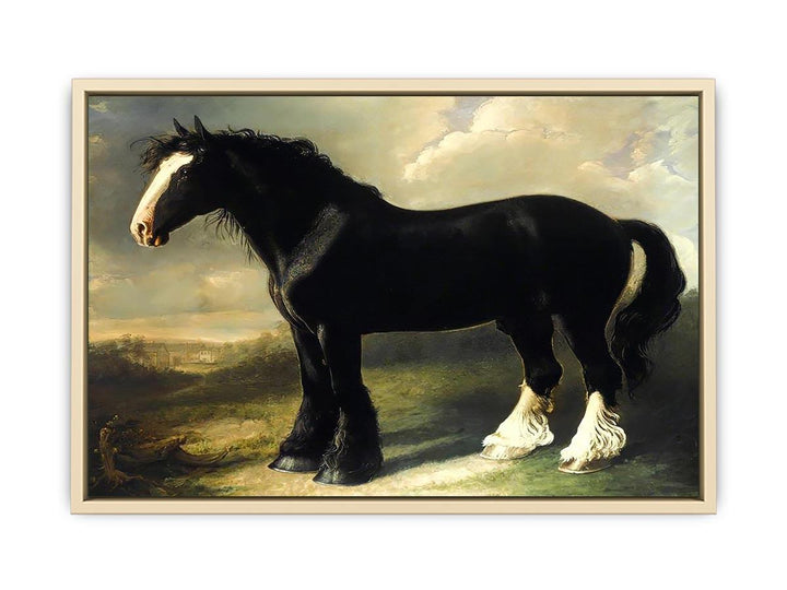 Old English Black Horse  Art Print