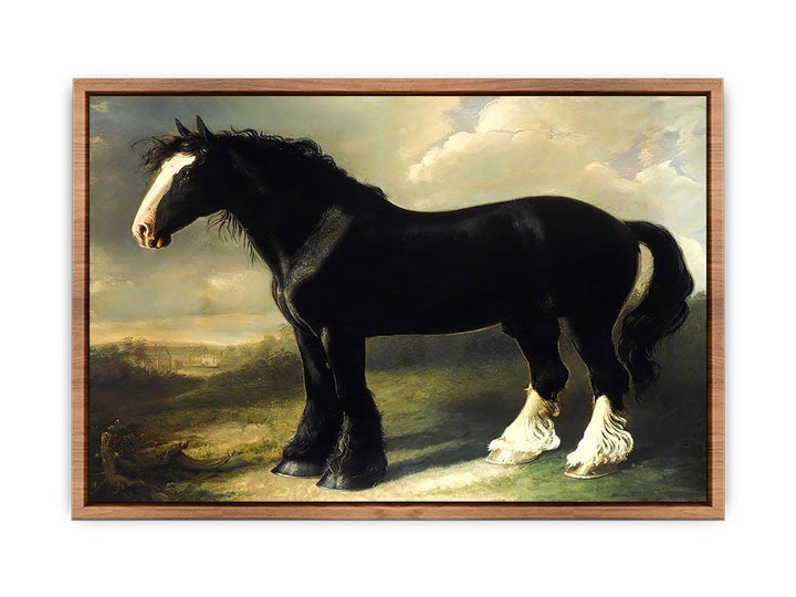 Old English Black Horse  Poster