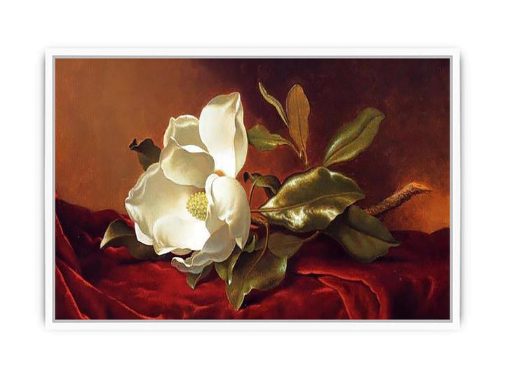 A Magnolia On Red Velvet Framed Print