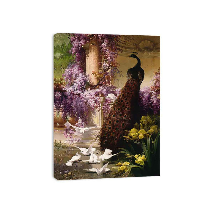 A Peacock and Doves in a Garden Canvas Print