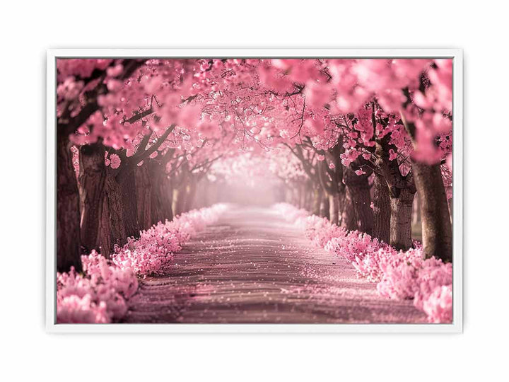 Cherry Blossom Path Framed Print