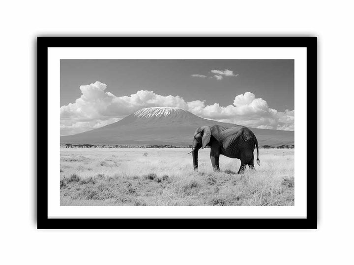 Lonely Elephant   Art Print