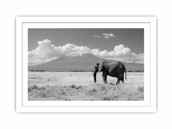 Lonely Elephant  Streched canvas