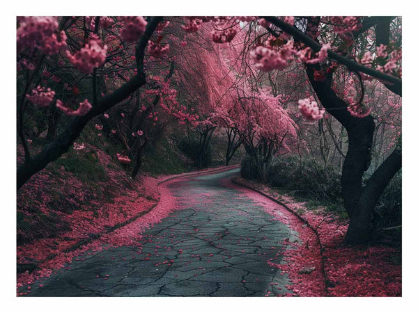 Cherry Blossom Path