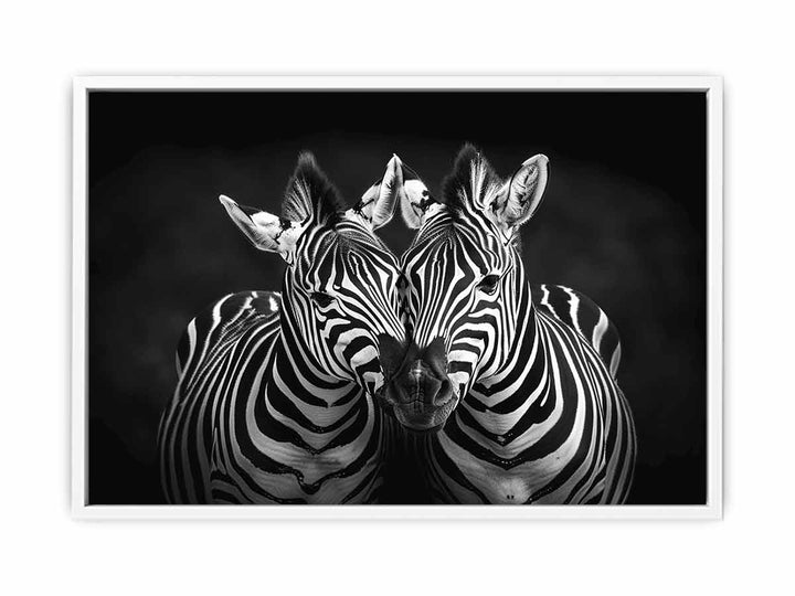 Two Zebras  Framed Print