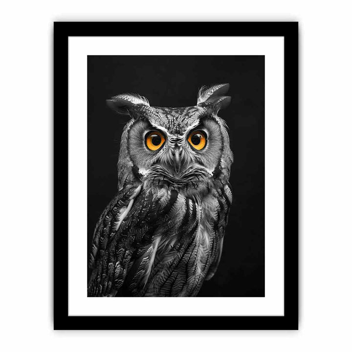 Owl  Art Print