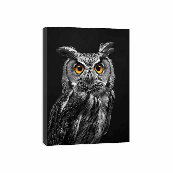 Owl Canvas Print