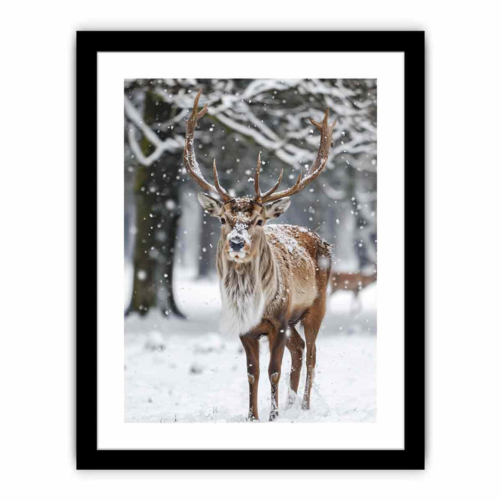 Reindeer  in Snow  Art Print