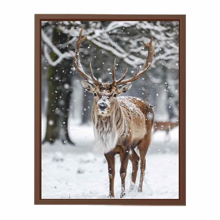 Reindeer  in Snow  Poster