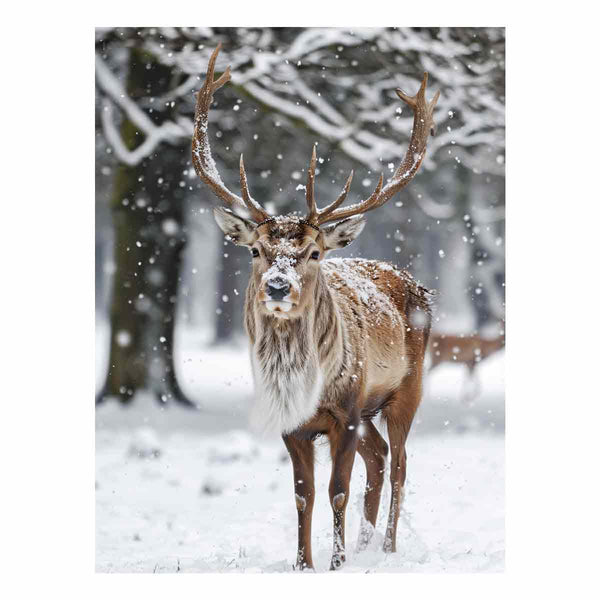 Reindeer  in Snow