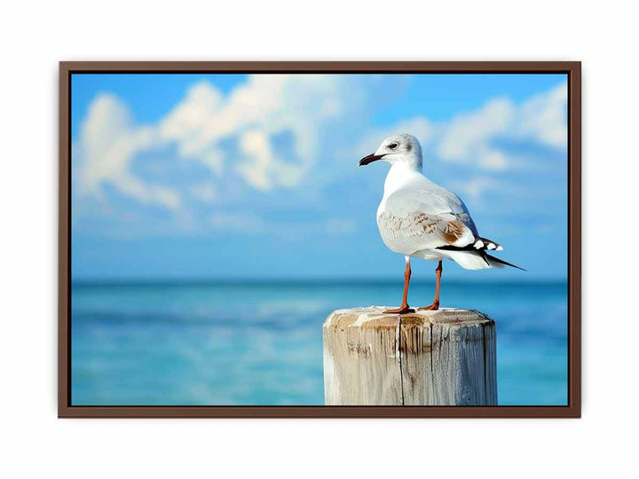 Seagull   Poster