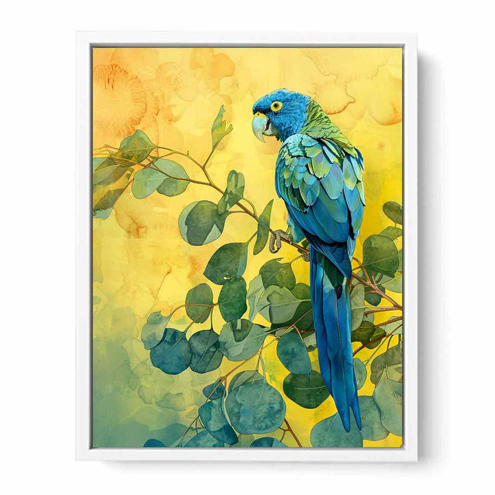 Blue Parrot  Framed Print