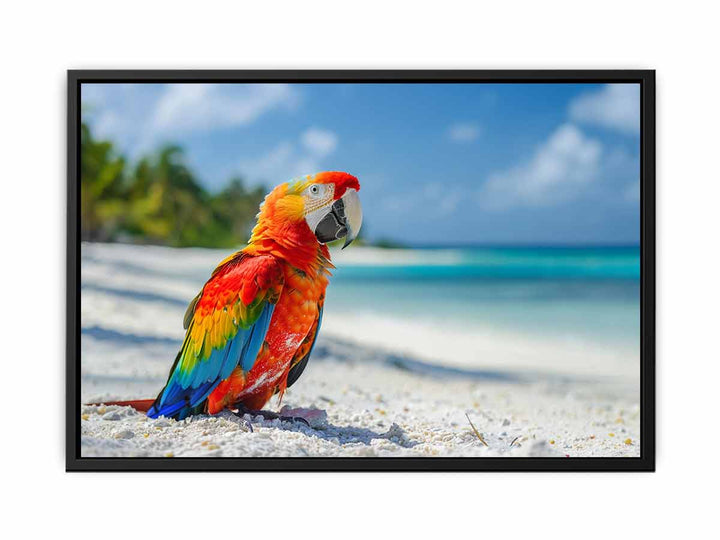 Tropical Parrot   Painting