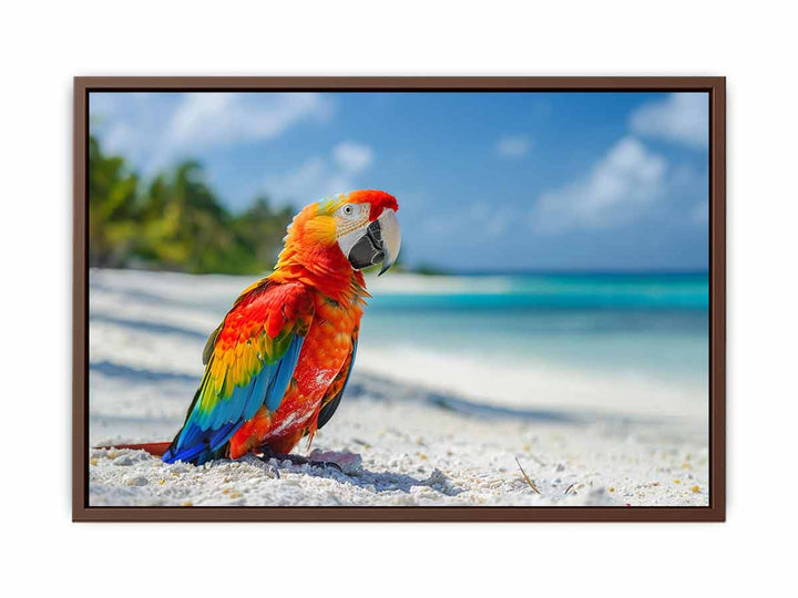 Tropical Parrot   Poster